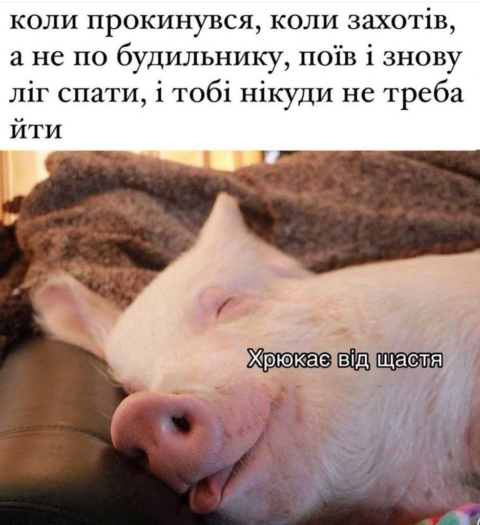 щастя