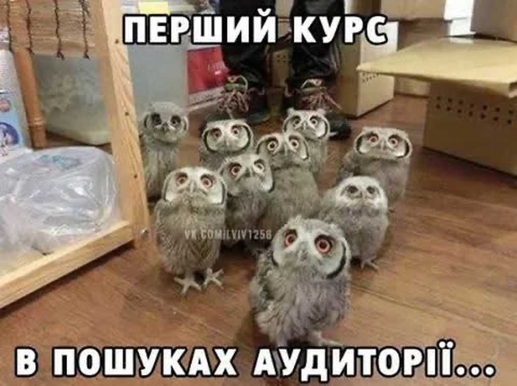 студенти