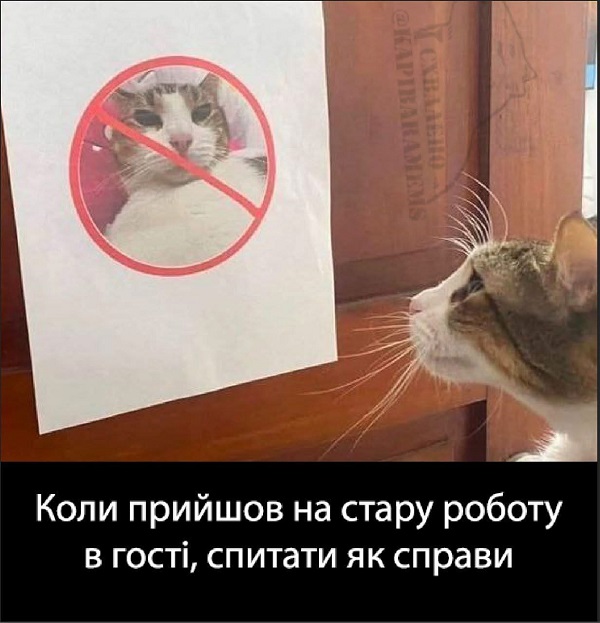 Пришел на старую работу