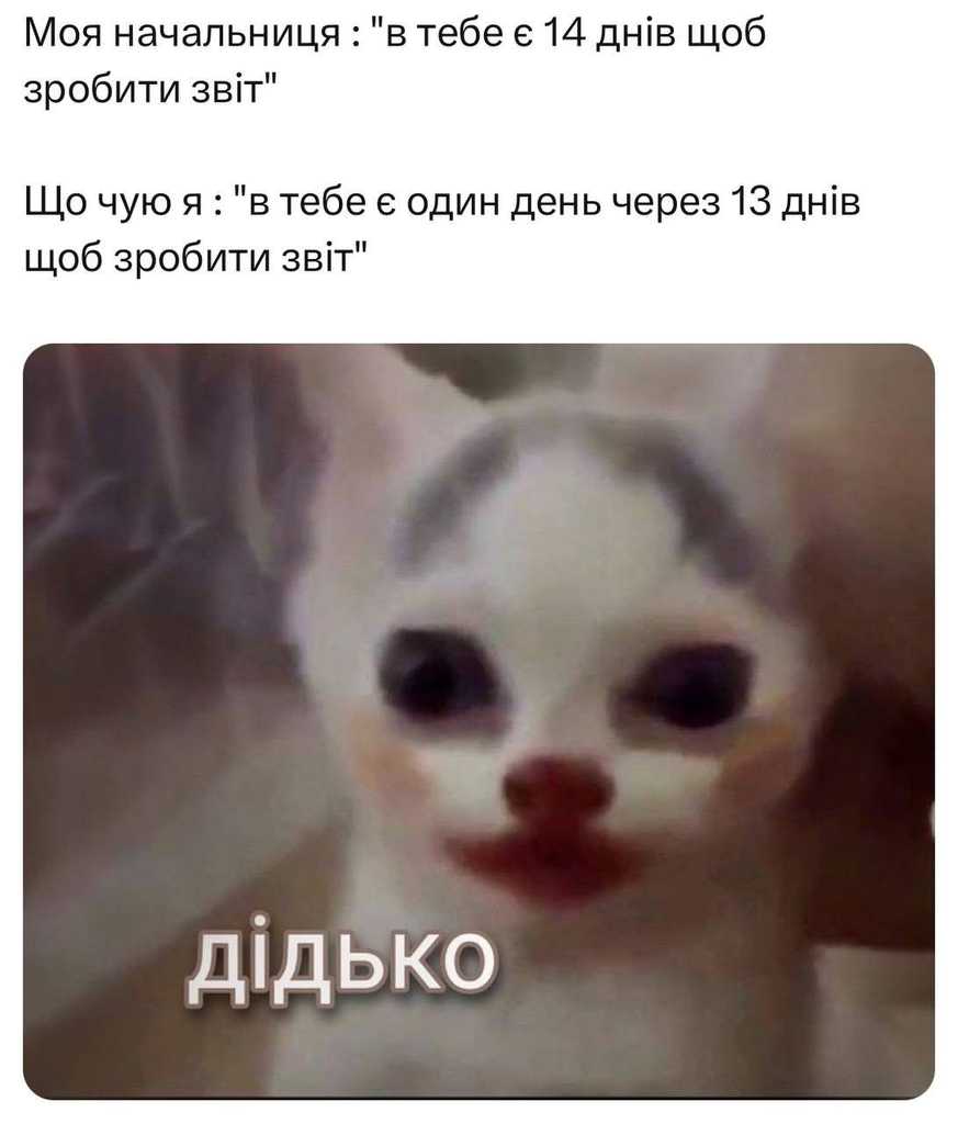 дедлайн
