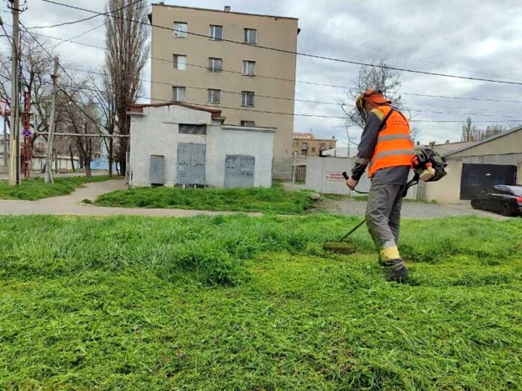 кошение травы