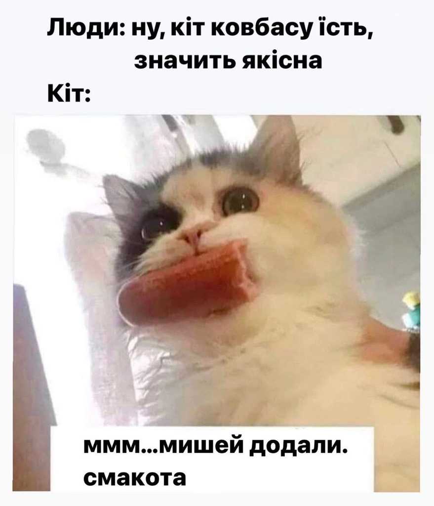 ковбаса для кота
