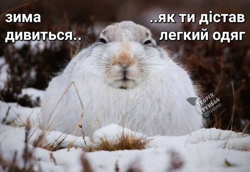 легкий одяг