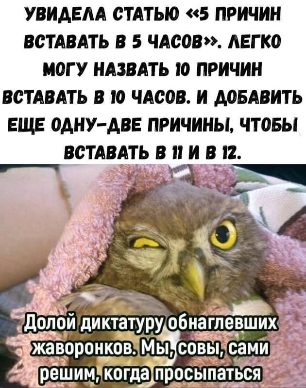 Совы против жаворонков