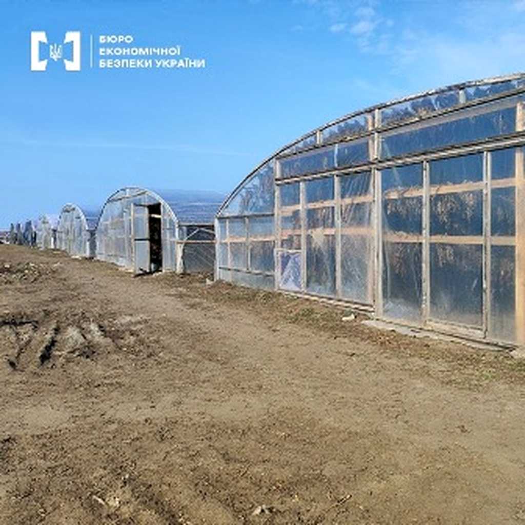 табак теплица