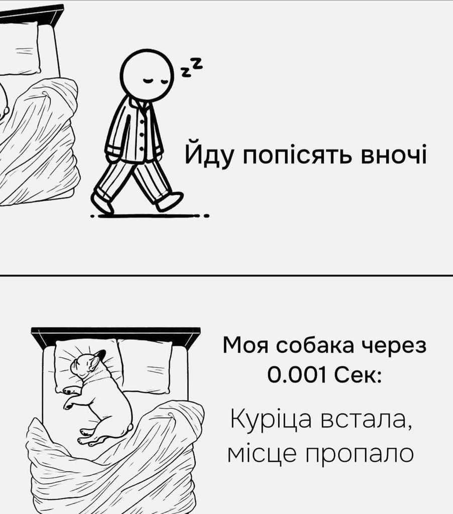 активна собака