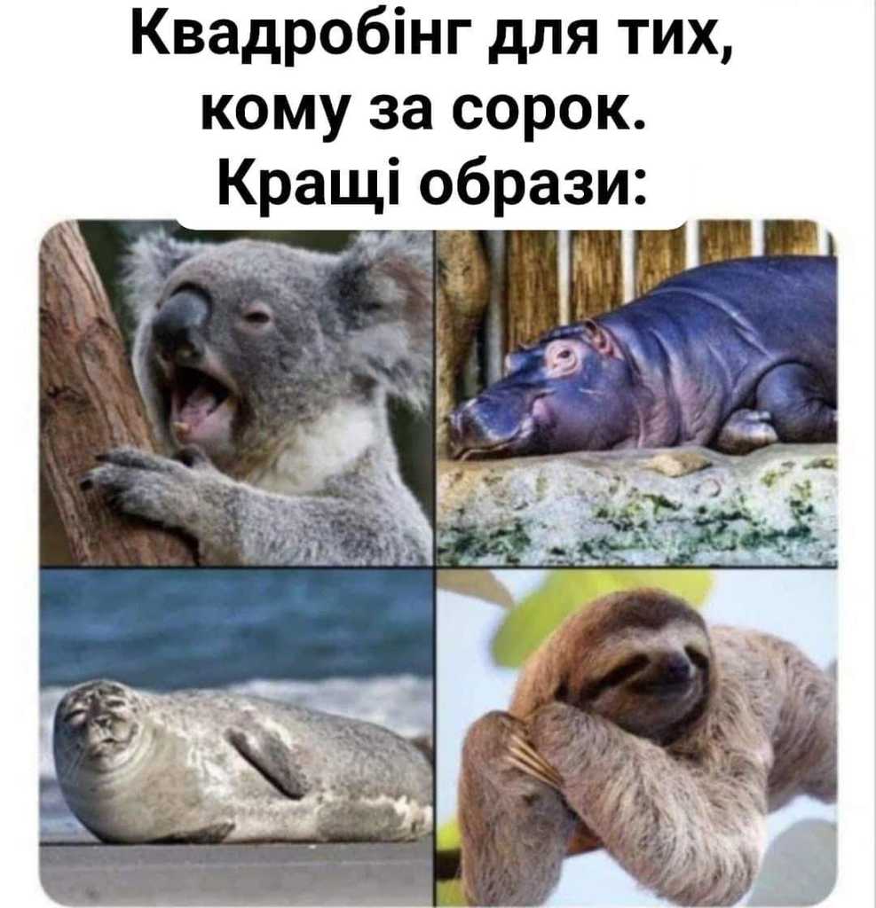Найкращі квадробери