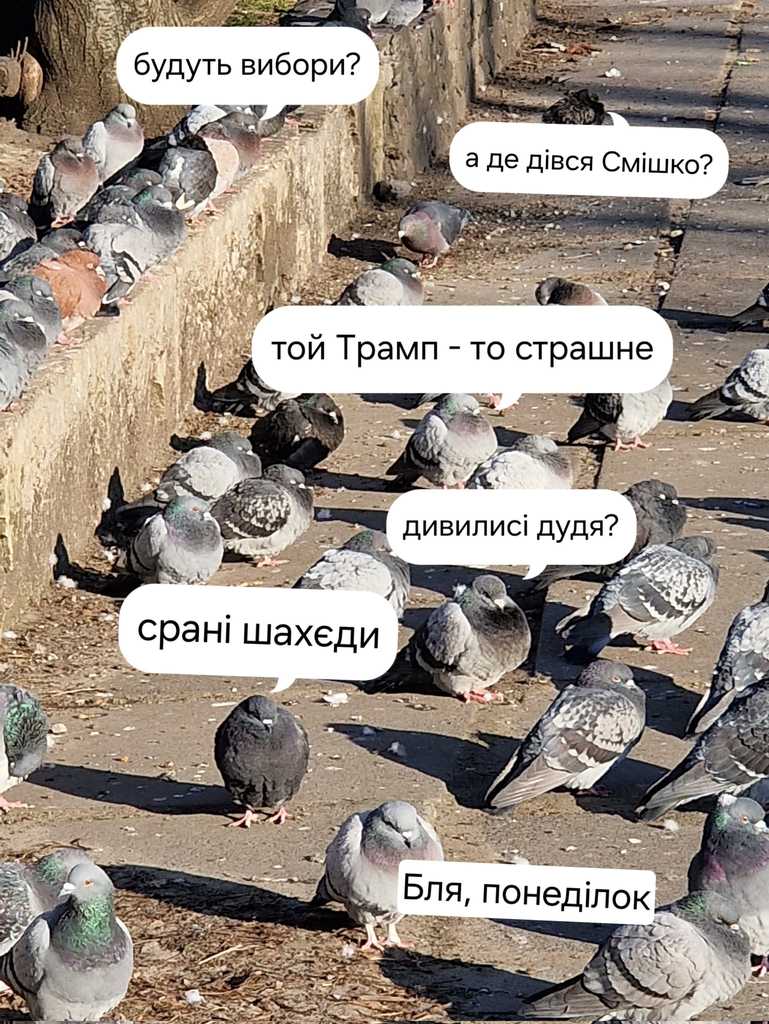 обговорення новин